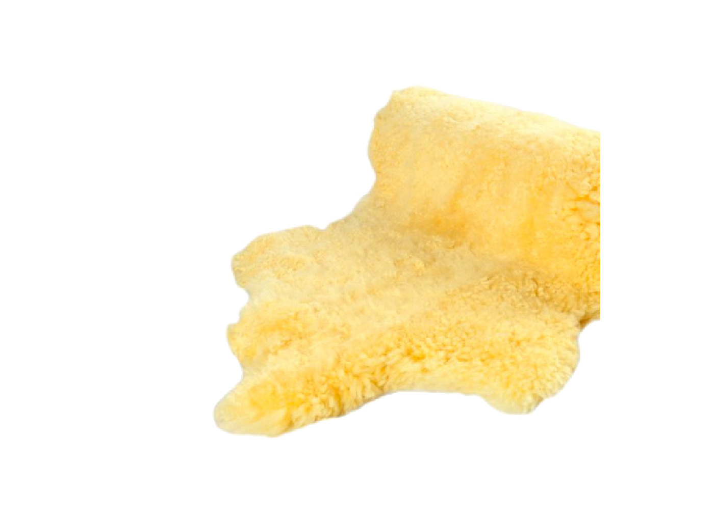 DEMA