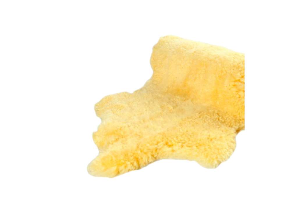 DEMA